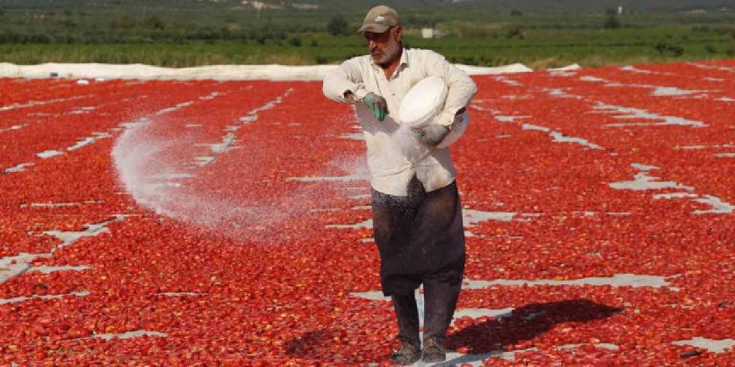 Kırmızının en güzel hali! Ser, kurut, şöleni izle: Bölgenin en önemli geçim kaynaklarından 4